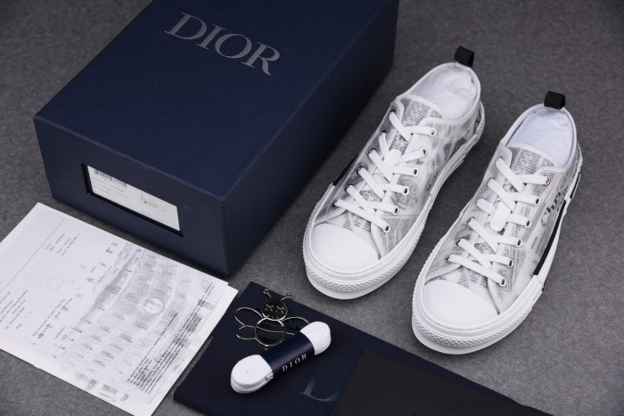 DR B23 Low Top Oblique Sneaker
